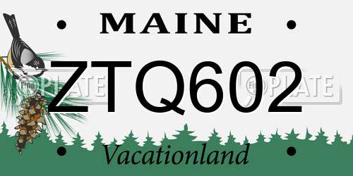 ZTQ602 Maine License Plate