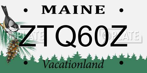 ZTQ60Z Maine License Plate