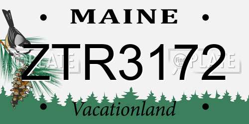 ZTR3172 Maine License Plate