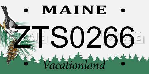 ZTS0266 Maine License Plate