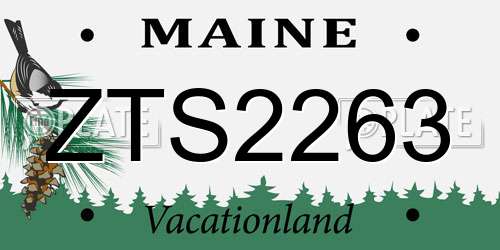 ZTS2263 Maine License Plate