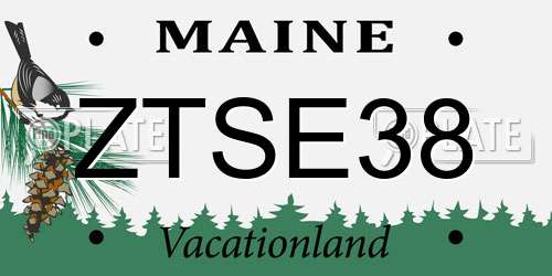ZTSE38 Maine License Plate