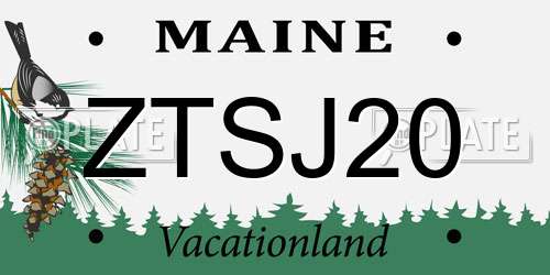 ZTSJ20 Maine License Plate