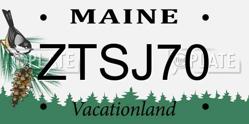ZTSJ70 Maine License Plate