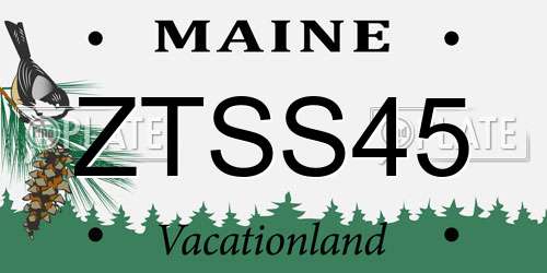 ZTSS45 Maine License Plate