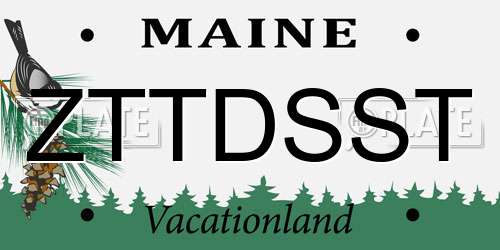 ZTTDSST Maine License Plate