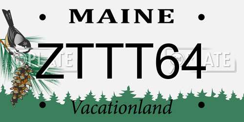 ZTTT64 Maine License Plate