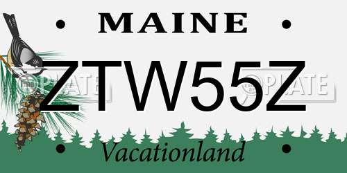 ZTW55Z Maine License Plate