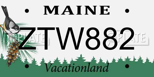 ZTW882 Maine License Plate