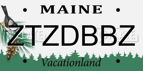 ZTZDBBZ Maine License Plate