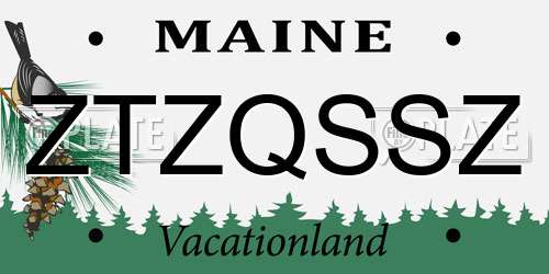 ZTZQSSZ Maine License Plate