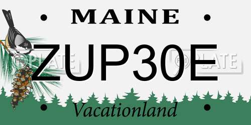 ZUP30E Maine License Plate