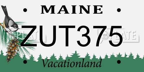 ZUT375 Maine License Plate