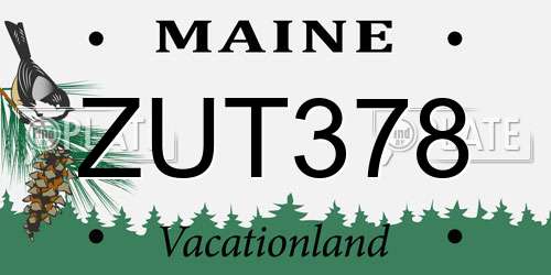 ZUT378 Maine License Plate