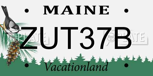 ZUT37B Maine License Plate