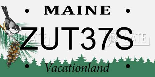 ZUT37S Maine License Plate