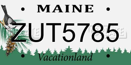 ZUT5785 Maine License Plate