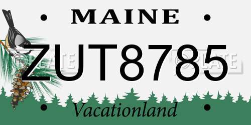 ZUT8785 Maine License Plate
