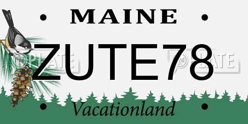 ZUTE78 Maine License Plate