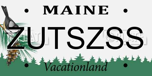ZUTSZSS Maine License Plate