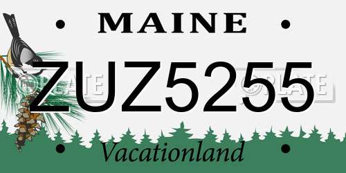 ZUZ5255 Maine License Plate