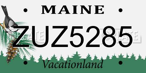 ZUZ5285 Maine License Plate