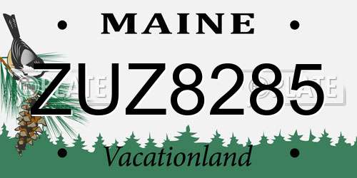 ZUZ8285 Maine License Plate