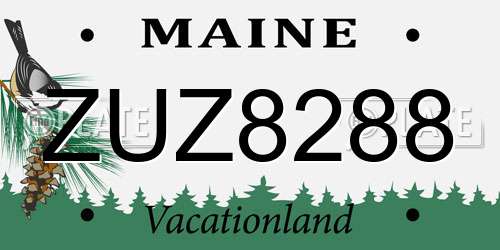 ZUZ8288 Maine License Plate