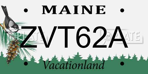 ZVT62A Maine License Plate