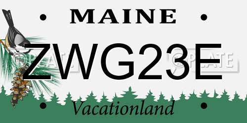 ZWG23E Maine License Plate
