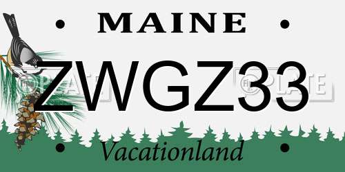 ZWGZ33 Maine License Plate