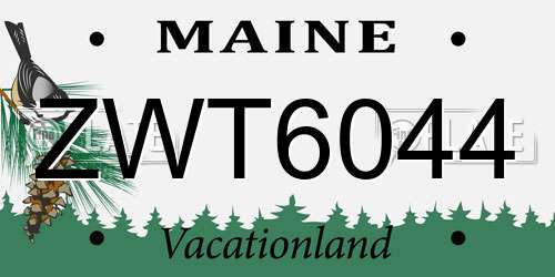 ZWT6044 Maine License Plate