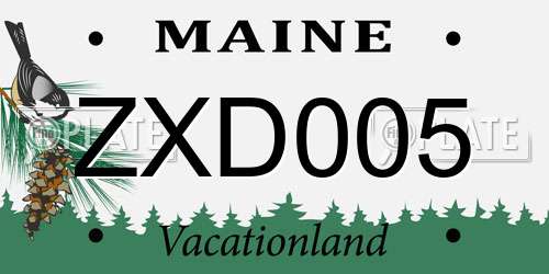 ZXD005 Maine License Plate
