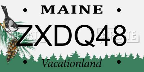 ZXDQ48 Maine License Plate