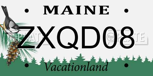 ZXQD08 Maine License Plate