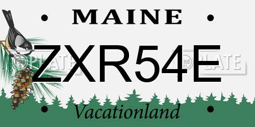 ZXR54E Maine License Plate