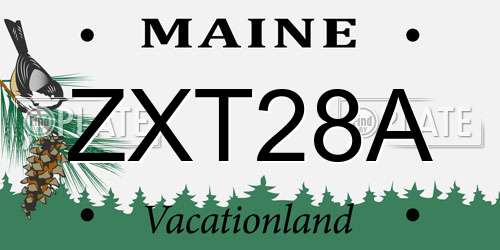 ZXT28A Maine License Plate