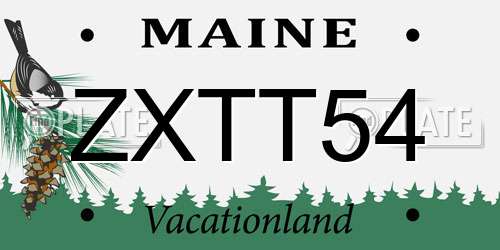 ZXTT54 Maine License Plate
