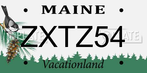 ZXTZ54 Maine License Plate