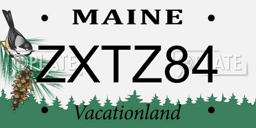 ZXTZ84 Maine License Plate