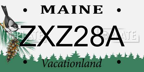 ZXZ28A Maine License Plate