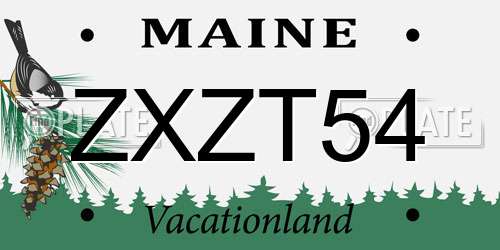 ZXZT54 Maine License Plate