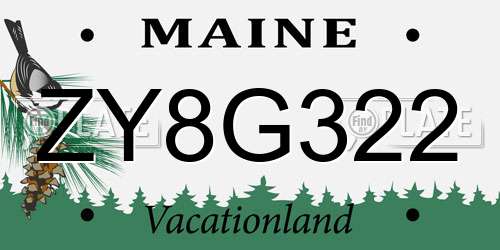 ZY8G322 Maine License Plate