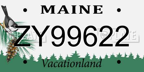 ZY99622 Maine License Plate