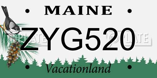 ZYG520 Maine License Plate