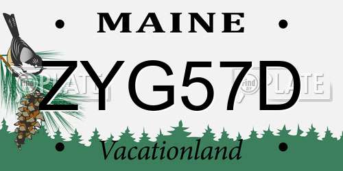 ZYG57D Maine License Plate