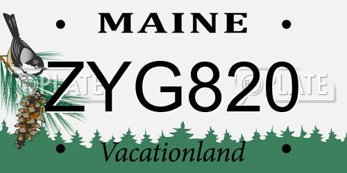 ZYG820 Maine License Plate