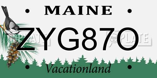 ZYG87O Maine License Plate