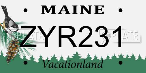 ZYR231 Maine License Plate