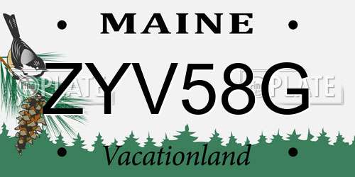 ZYV58G Maine License Plate